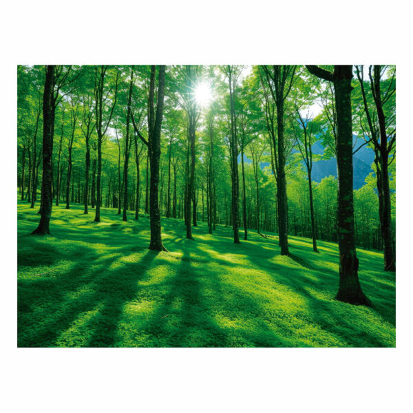 Fundo Fotográfico Cenário Floresta em Tecido 2,20m x1,50m F585 - Image 3