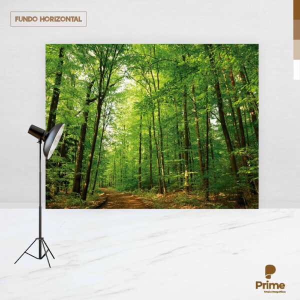 Fundo Fotográfico Cenário Floresta em Tecido 2,20m x1,50m F588 - Image 4