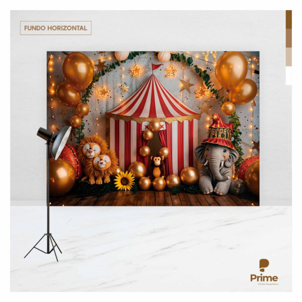 Fundo Fotográfico Circo Baby Tecido 2,20m x 1,50m F1211 - Image 4