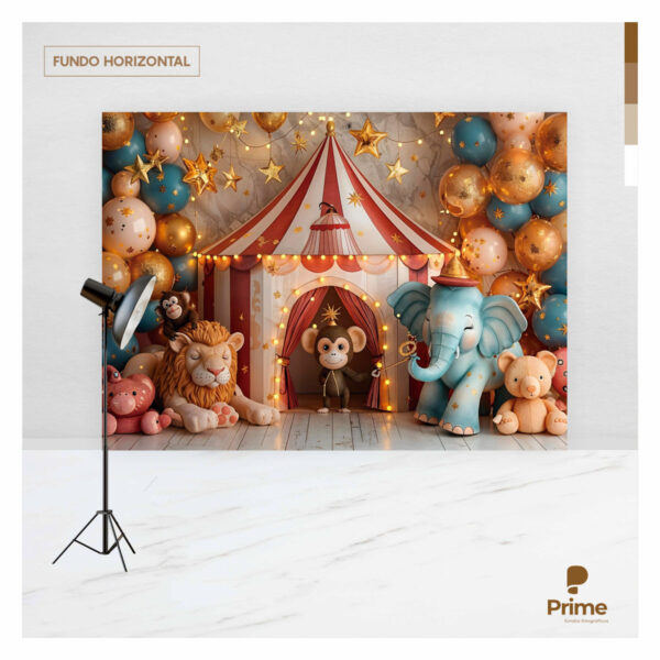 Fundo Fotográfico Circo Baby Tecido 2,20m x 1,50m F1212 - Image 4