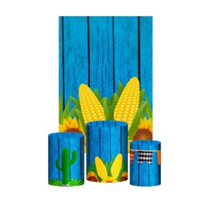 Kit Casado Festa Junina 3d Trio Capa Cilindro + Retangular Tecido